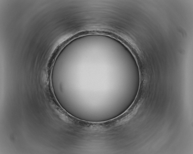 X0000112760974200908271616