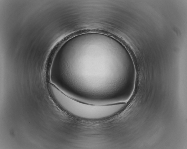 X0000112760975200908271616