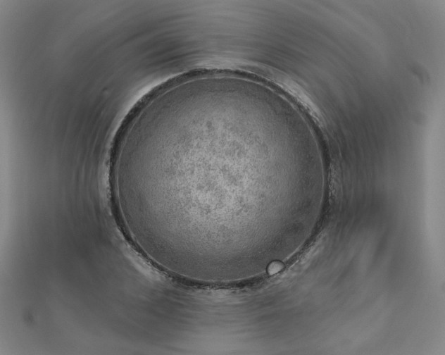 X0000112760976200908271616