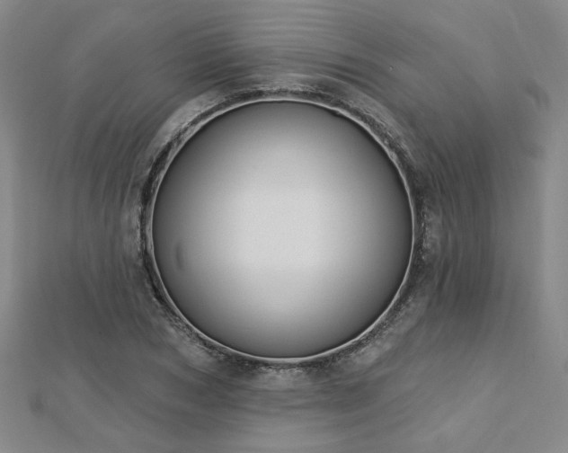 X0000112760978200908271616