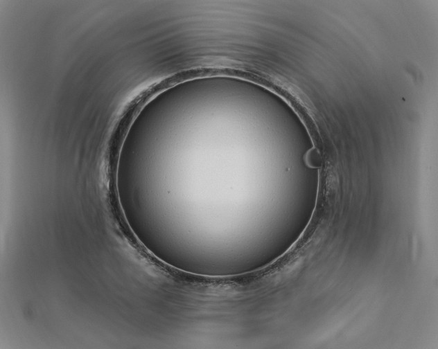 X0000112760979200908271616