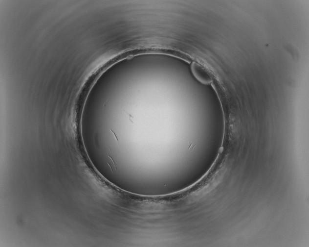 X0000112760981200908271616