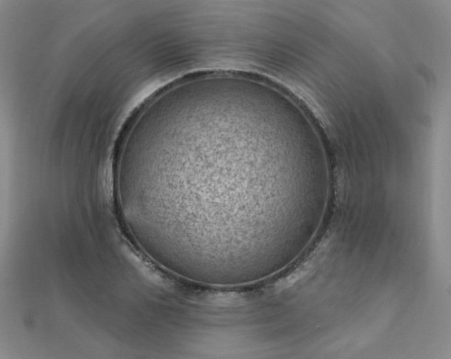 X0000112760982200908271616