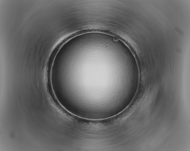 X0000112760983200908271616