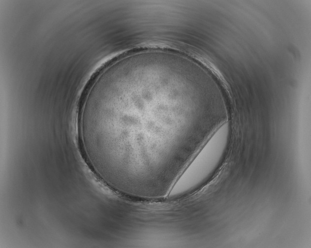 X0000112760984200908271616