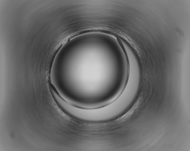 X0000112760985200908271616