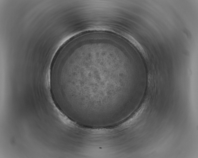 X0000112760988200908271616