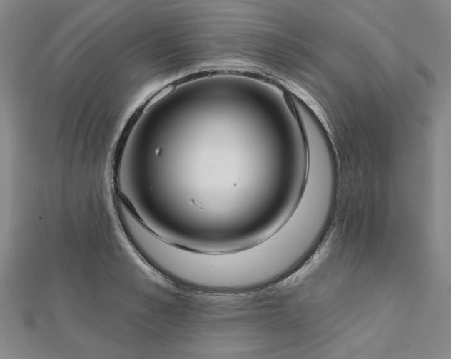 X0000112760989200908271616