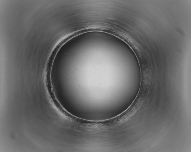 X0000112760991200908271616