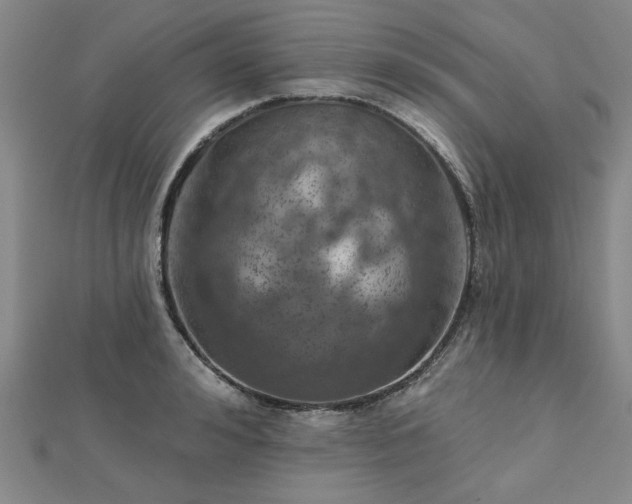 X0000112760992200908271616