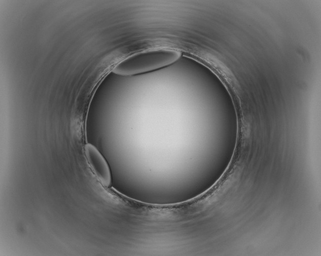 X0000112760993200908271616