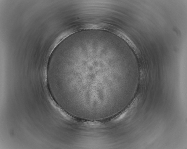 X0000112760994200908271616