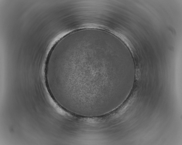 X0000112760995200908271616