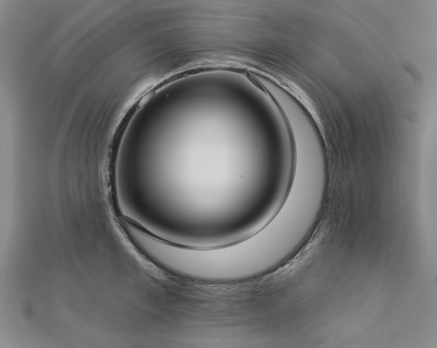 X0000112760997200908271615