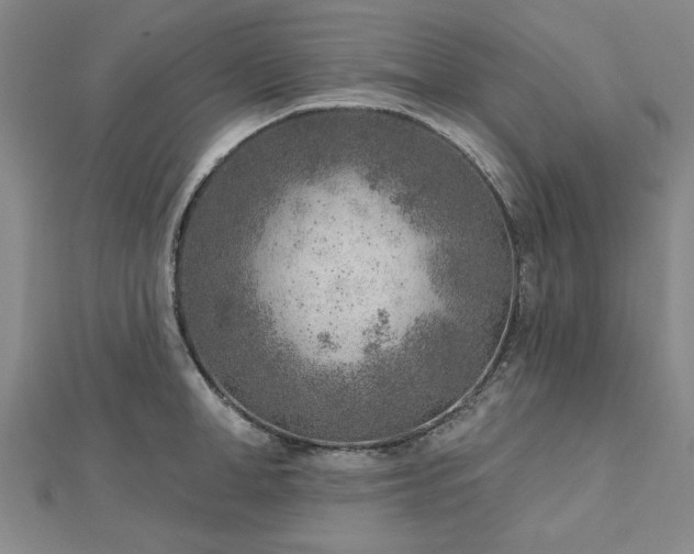X0000112760998200908271615