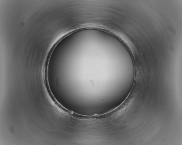 X0000112760999200908271615