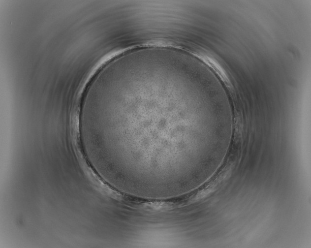 X0000112761000200908271615
