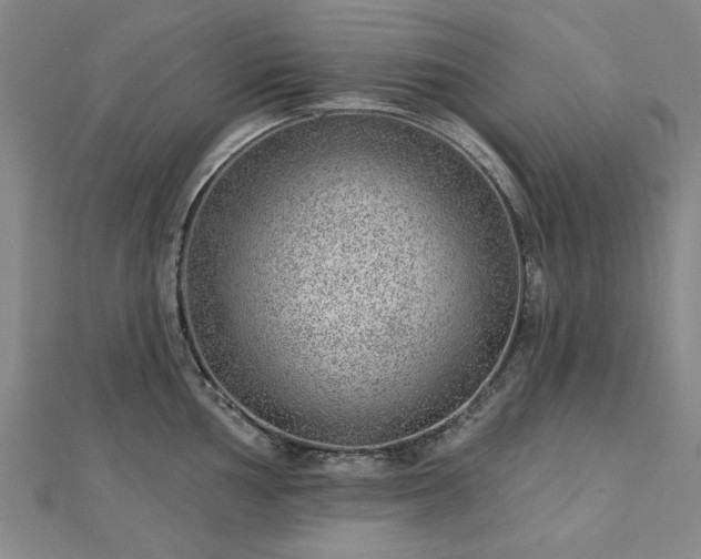 X0000112761002200908271615