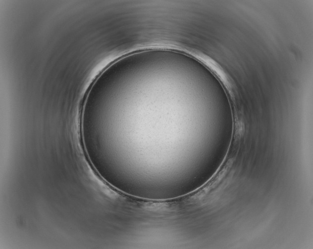 X0000112761006200908271615