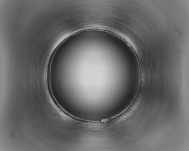 X0000112761007200908271615