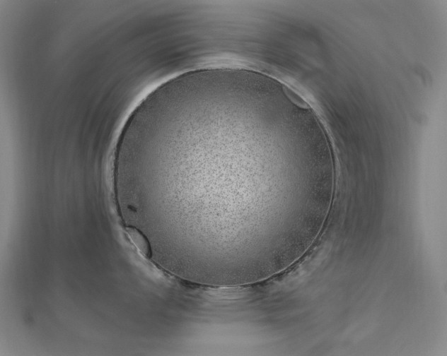 X0000112761008200908271615