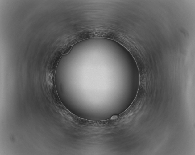X0000112761010200908271615