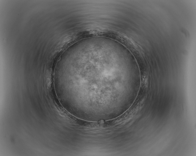 X0000112761012200908271615