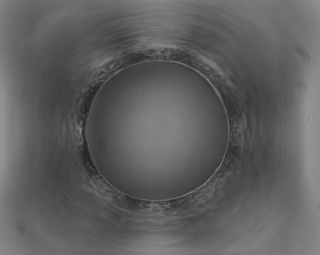 X0000112761013200908271615