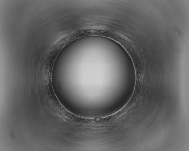 X0000112761014200908271615