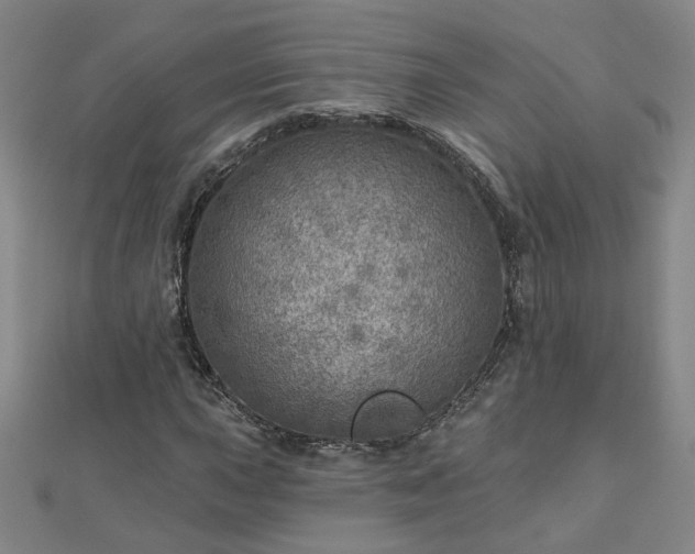 X0000112761015200908271615