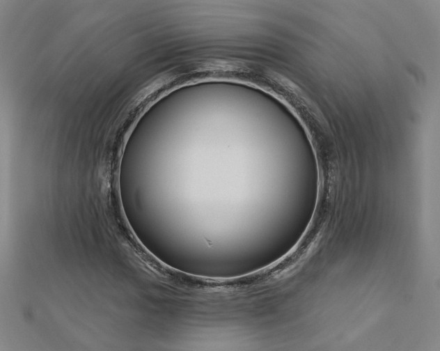 X0000112761017200908271615