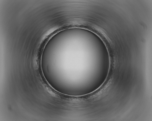 X0000112761018200908271615