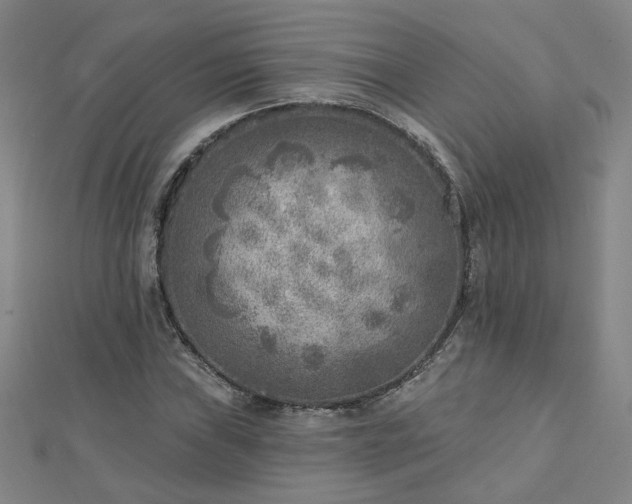 X0000112761019200908271615