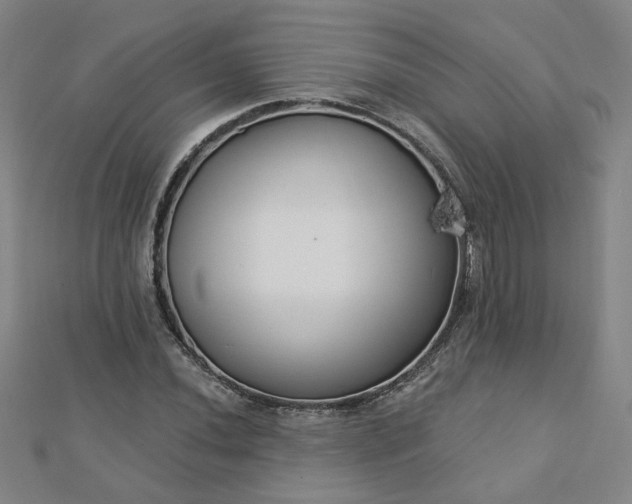 X0000112761020200908271615