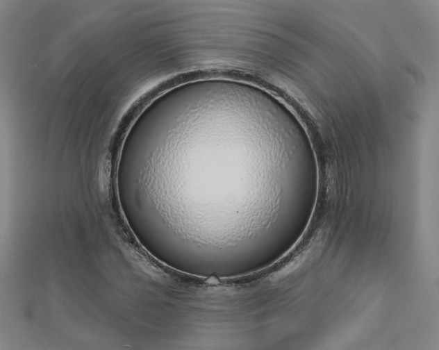 X0000112761021200908271615