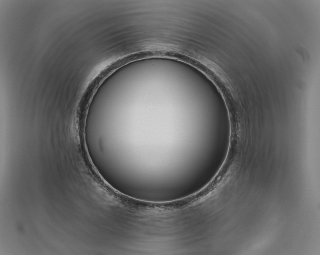 X0000112761022200908271615
