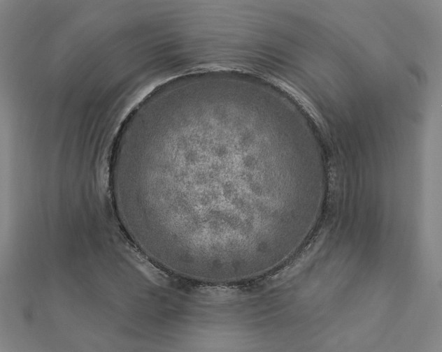 X0000112761023200908271615