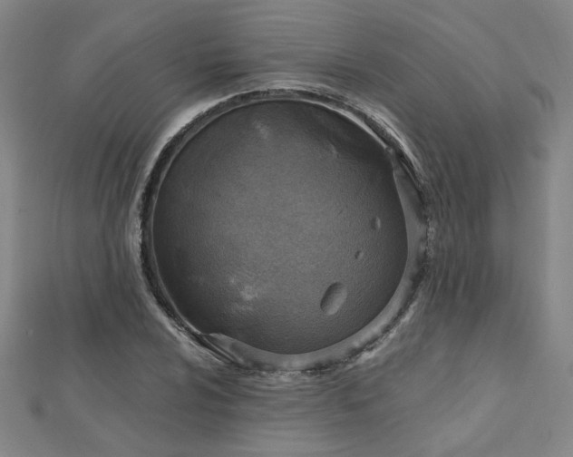 X0000112761024200908271615