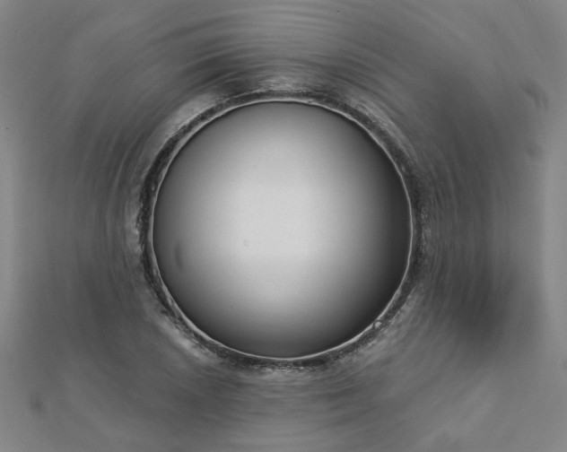 X0000112761026200908271615