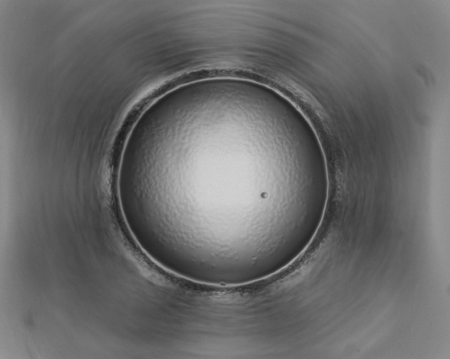X0000112761029200908271615