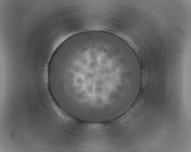 X0000112761031200908271615