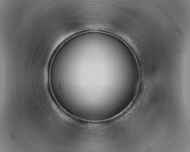 X0000112761032200908271615