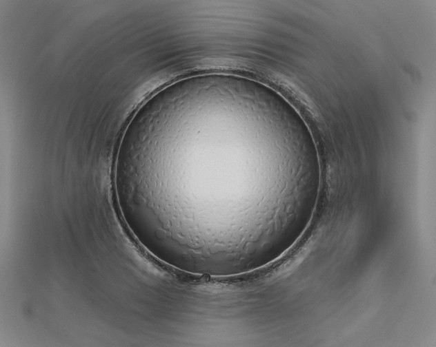 X0000112761033200908271615
