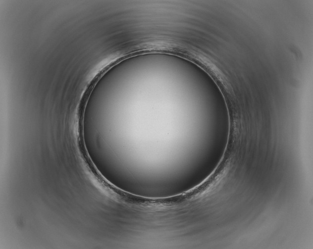 X0000112761034200908271615