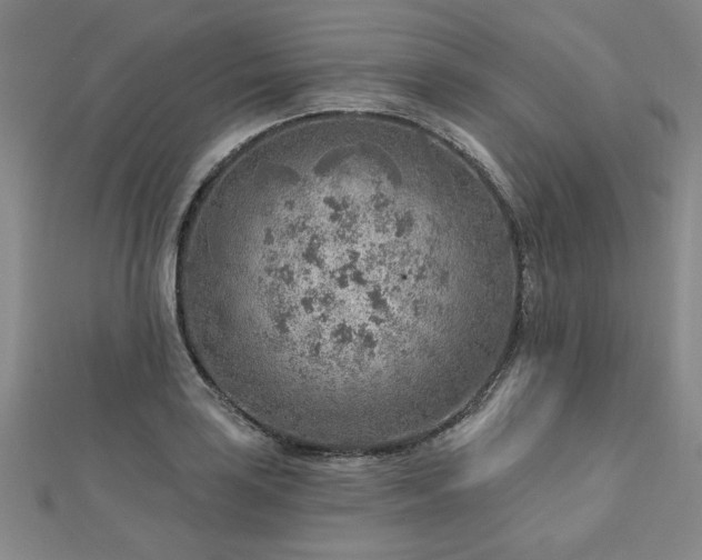 X0000112761035200908271615