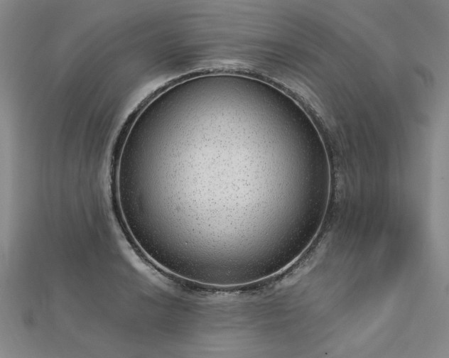 X0000112761038200908271615