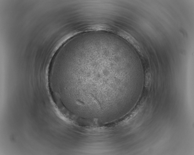 X0000112761039200908271615
