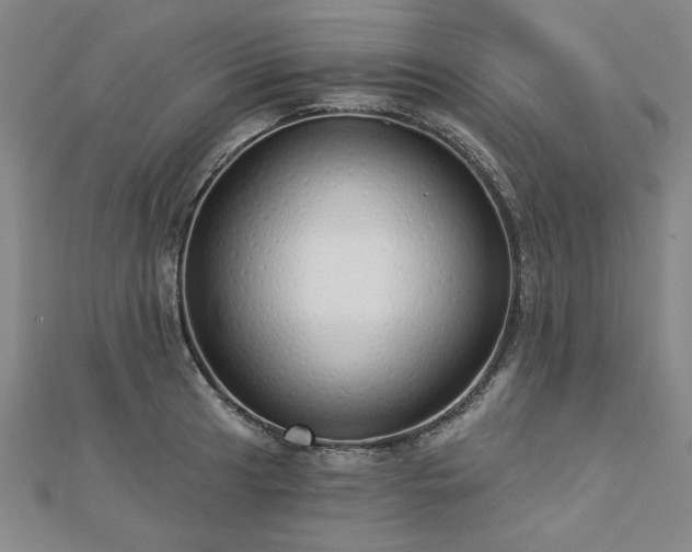X0000112761041200908271615