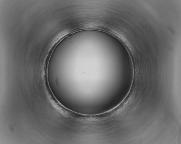 X0000112761042200908271615