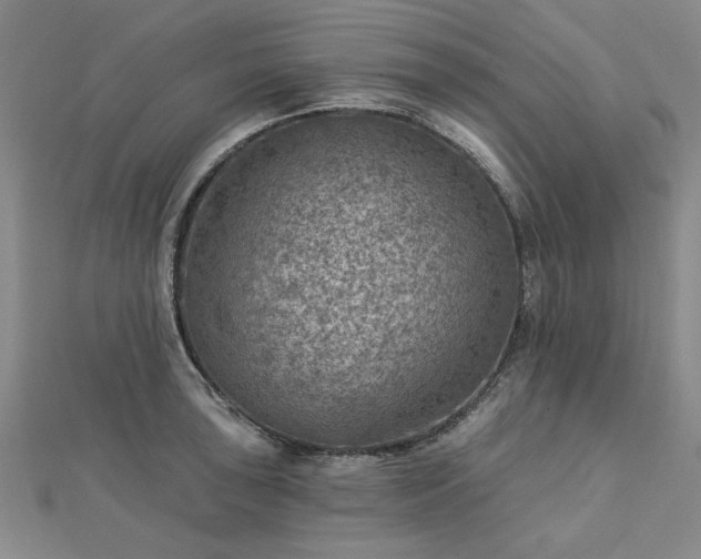 X0000112761043200908271615